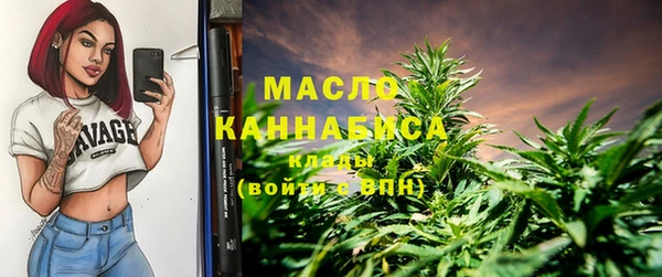 сатива Куйбышев