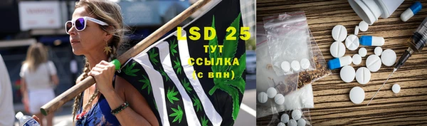 стафф Лабытнанги