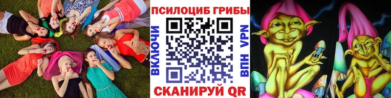 Купить закладки  Апрелевка  Псилоцибиновые грибы Cubensis 